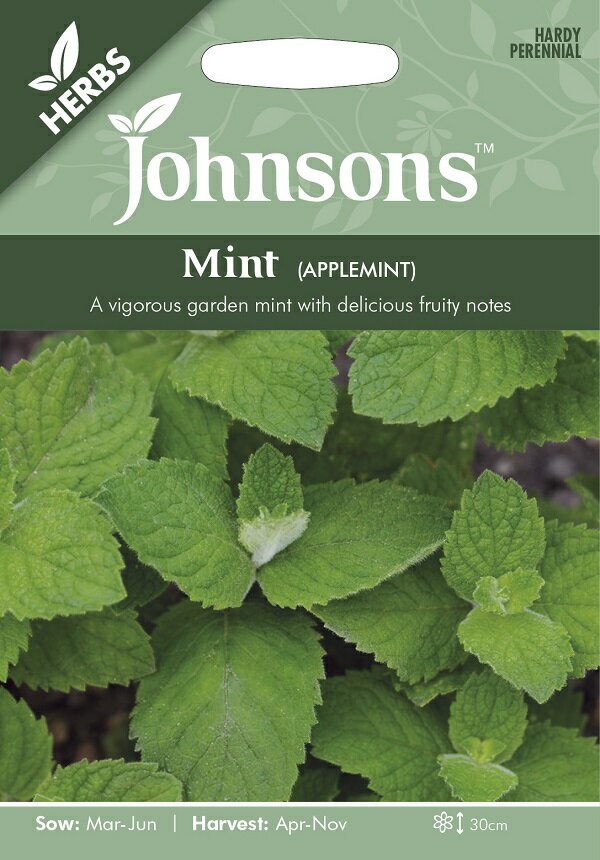 【種子】Johnsons Seeds HERBS Mint(APPLEMINT) ハーブス ミント(アップルミント) ジョンソンズシード