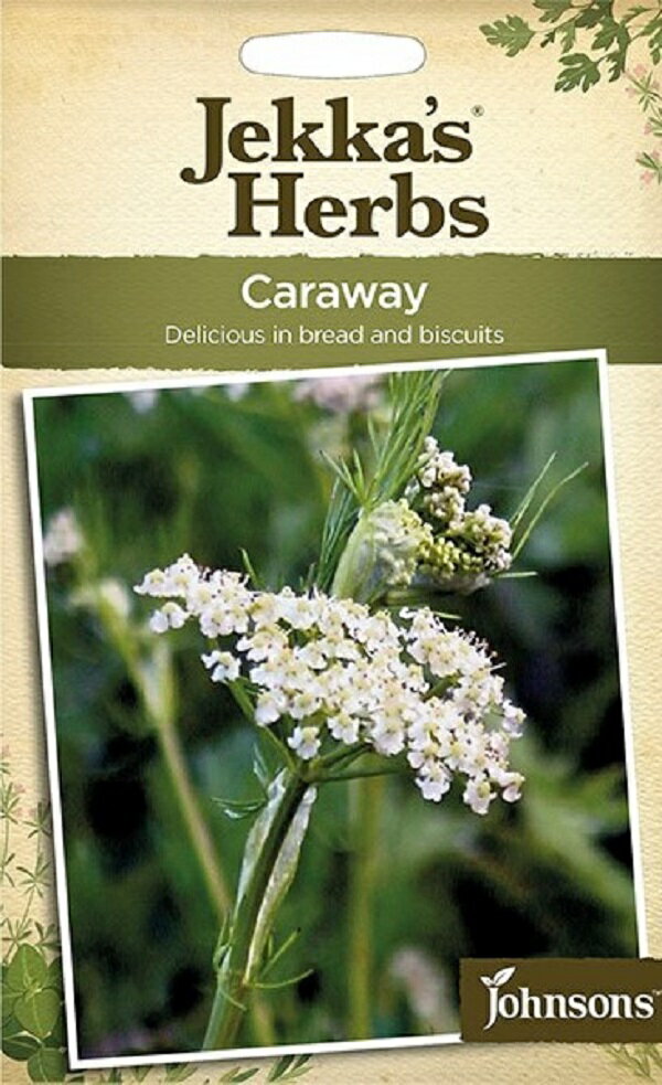 Johnsons Seeds Jekka's Herbs Caraway ジェッカズ・ハーブス キャラウェイ ジョンソンズシード