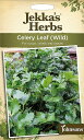 yqzJohnsons Seeds Jekka's Herbs Celery Leaf(Wild) WFbJYEn[uX ZE[tiChjW\YV[h