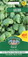 ͢ҡMr.Fothergill's Seeds HERB Basil Dolce Vita ϡ Х ɥ ߥե륺