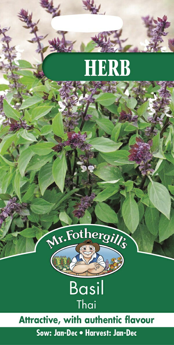 【種子】Mr.Fothergill's Seeds HERB Basil Thai ハーブ バジル・タイ ミスター・フォザーギルズシード
