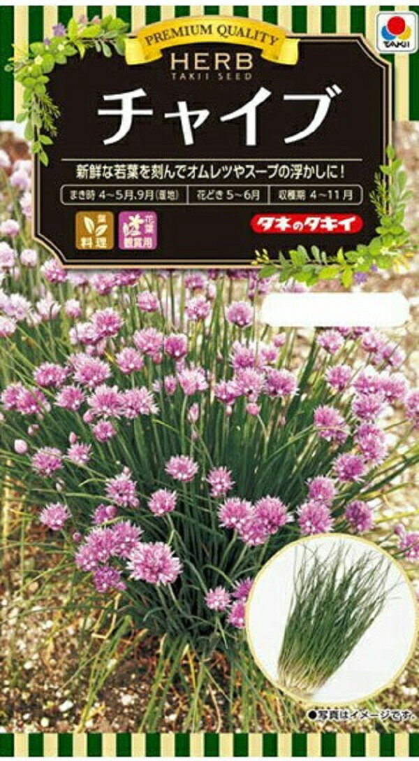 【代引不可】【送料5袋まで80円】 □ ハーブタイム■ハーブ 種種子 種子そ 他 ハーブ 種種子 種子そ 他 ハーブ 種種子 種子そ 他 ハーブ 種種子 種子そ 他 ハーブ 種種子 種子そ 他 ハーブ 種種子 種子そ 他 ハーブ 種種子 種子そ 他