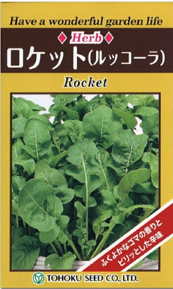 【種子】ロケット（ルッコーラ）トーホクのタネ