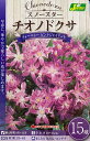 【花球根】スノースター チオノドクサ フォーベシー ピンクジャイアント 15球入 カネコ種苗の球根