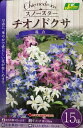 【花球根】スノースター チオノドクサ 混合 15球入 カネコ種苗の球根