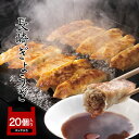 【一度食べたら忘れられない】長崎ぎょうざ 20個入（箱入り） 岩崎本舗 お取り寄せグルメ 長崎 たれ付き おつまみ ビール 冷凍餃子 餃子 ぎょうざ ジャンボ餃子 手包み おかず 国産野菜 ビール 手土産 お土産 ご当地グルメ お取り寄せ 人気 お歳暮 歳暮 詰め合わせ 福袋 1