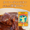 【陳静監修】 欧風カレー 200g 豚バラ軟骨 淡路島玉ねぎ コラーゲン含 花椒使用 国産 レトルト CURRY カレー カリー 陳 静 CHEN JING カンフー 太極拳 おいしい ピリ辛 簡単 自宅 送料無料