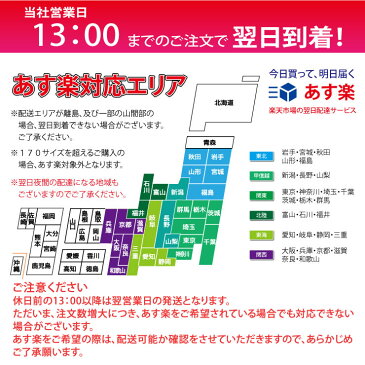 【あす楽対応】 花粉症 メガネ グラス ロービジョン 度付 対応 アイキュア EC-606L BR ブラウン ポリカーボネート製レンズ ゴーグル クーポン対象