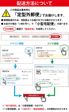 【あす楽対応】 花粉症 メガネ グラス ロービジョン 度付 対応 アイキュア EC-606L BR ブラウン ポリカーボネート製レンズ ゴーグル クーポン対象