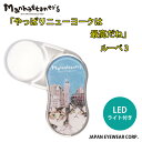 虫眼鏡 拡大鏡 LED ライト付 スウィングルーペ Manhattaner's マンハッタナー ズ 【 やっぱりニューヨークは最高だね。 】 ポケットルーペ クーポン対象