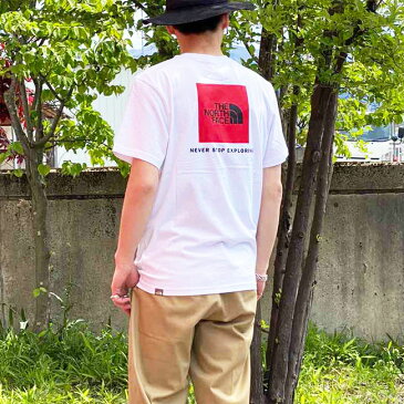 1000円OFFクーポンプレゼント!ノースフェイス Tシャツ THE NORTH FACE レッドボックス ロゴ 半袖 クルーネック バックプリント ロゴT カットソー メンズ レディース M S/S RED BOX TEE NF0A2TX2 【ネコポス対象商品】【2021SALEM】