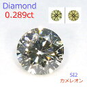 【P10倍+3%off】【カメレオン】ダイヤモンド ルース 0.289ct SI2 ラウンド ブリリアントカット 希少 レアストーン 中央宝石研究所 鑑定書付 コレクター 裸石 石のみ 返品対応 現品限り 4月誕生石