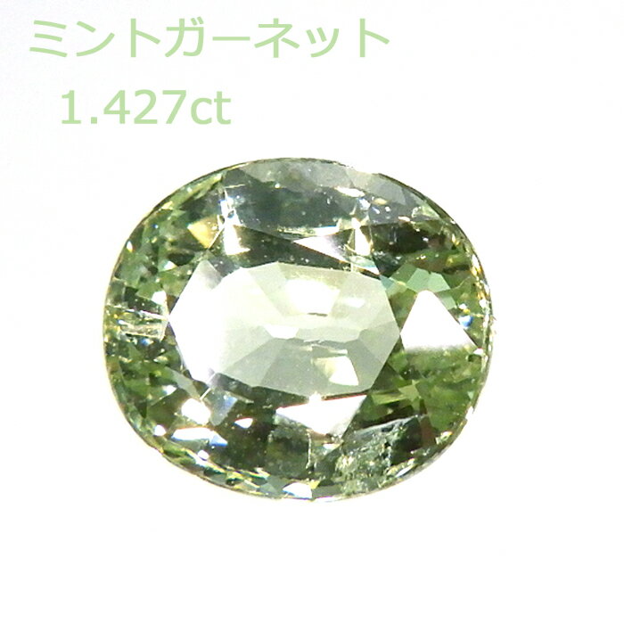 【ミントグリーン】 ガーネット 1.427ct ルース オーバルカット 希少 レアストーン 緑 コレクター 裸石..