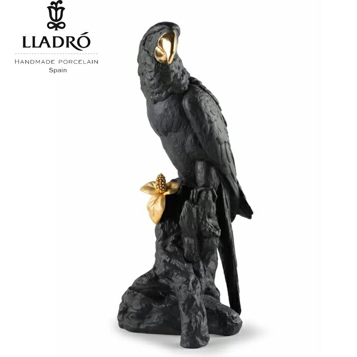 y6/1ꕔlzRSECR Bold Black h LLADRO    V |[Z  l` u CeA ۏ  v[g j Vz J  ItBX rO yKiz01009577