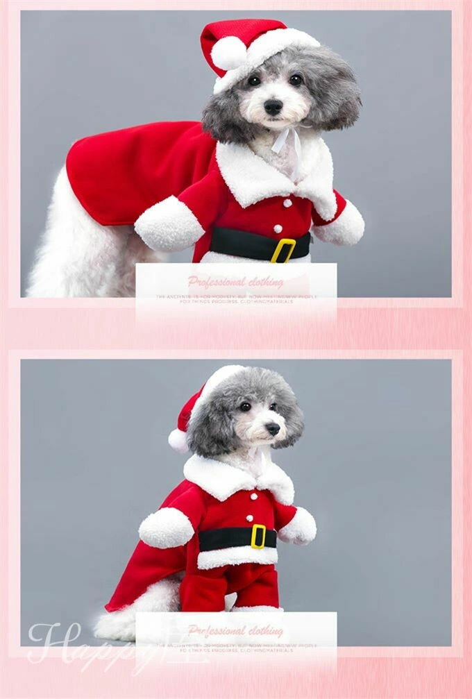 ���� ���ꥹ�ޥ� �����������ץ� �������塼�� 2­��� �ѿ� ���� ���󥿥��� ���� �ɥå������� �ڥå����� �ڥåȥ��å� ������ �淿�� ���� ������ �� �� ���⤷���� �İ��� ����̵��