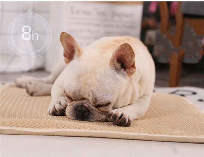 �ڥåȥ٥å� �ڥåȥޥå� ������ޥå� �����ȥ��å���� �ڥå��� ���淿 ǭ�Ѹ��� �䴶�ޥå� �䤨�ޥå� ���ߤ� �ܿ��䴶 �� ������ ���ߤ� ���襤�� ����̵��