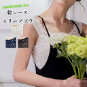 【6/10限定★抽選で2人に1人最大300%ポイントバック★要エントリー】総レーススリーブ オフショルダーブラ ブラジャー