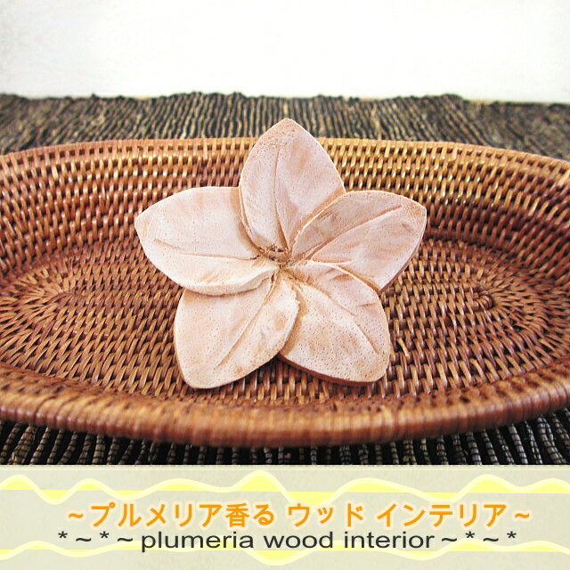 �ץ��ꥢ ���å� ¤�� ����ƥꥢ �ǥ��졼����� ���� �ե� �꥾���� �־��� ��� �� �ե����� ���� �� �������� �Х� �ϥ磻 �ʥ����� ������� ���� �ǥ����ץ쥤 �꥾���ȥ���ƥꥢ �Х껨�� �ץ쥼��� ���ե� ������� £��ʪ�ץ��ꥢ ���åɥ���ƥꥢ