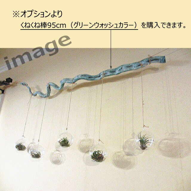 �ƥ�ꥦ�� ���饹 �������ץ����� ���꡼�� ��ʪ�� �ƴ� ������� ŷ�� �ߤ겼�� �֤��� ����ƥꥢ �Х��� ����ե���˥��� �������� ����� ��ޯ�� ���ꥢ�����饹 ����ƥꥢ���� ��ӥ� �����˥� ���å��� �ȥ��� ���� ���� �꥾���ȥ���ƥꥢ �ƥ�ꥦ��