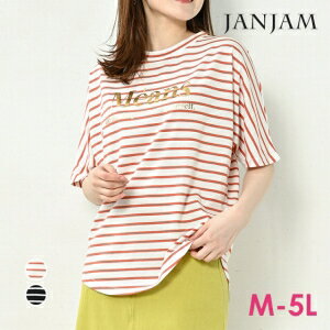 MISSONI ミッソーニ ボーダー ドルマン Tシャツ カットソー ストレッチ トップス 大きいサイズ 48 XL オレンジ レディース 【中古】 MISSONI ミッソーニ ボーダー ドルマン Tシャツ カットソー