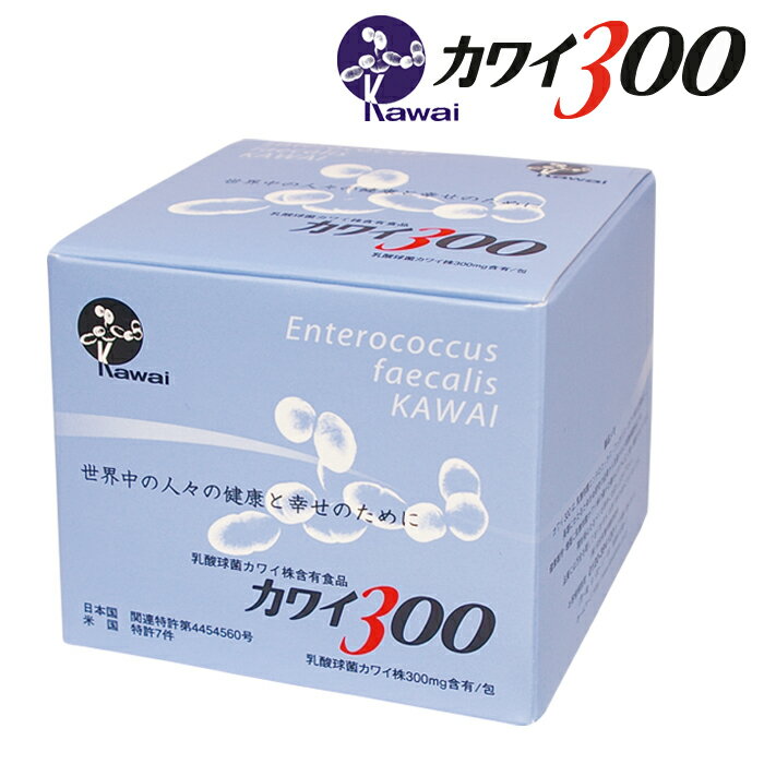 Kawai カワイ300 乳酸球菌カワイ株　300mg含有/包　100包入り　乳酸菌