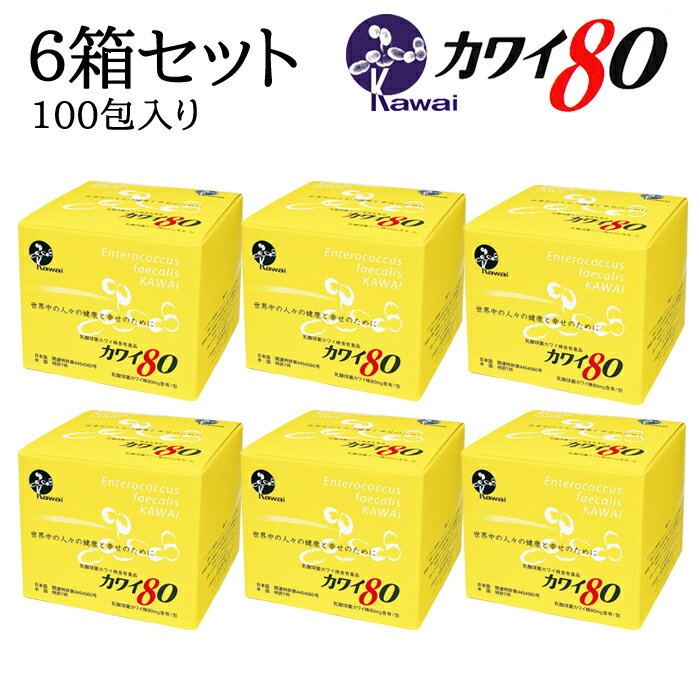 【お得な6箱セット】 カワイ80 乳酸球菌カワイ株 80mg含有/1箱 100包入り 6箱セット 河合康雄 河合乳酸球菌研究所 乳酸菌 Kawai80 送料無料 正規代理店