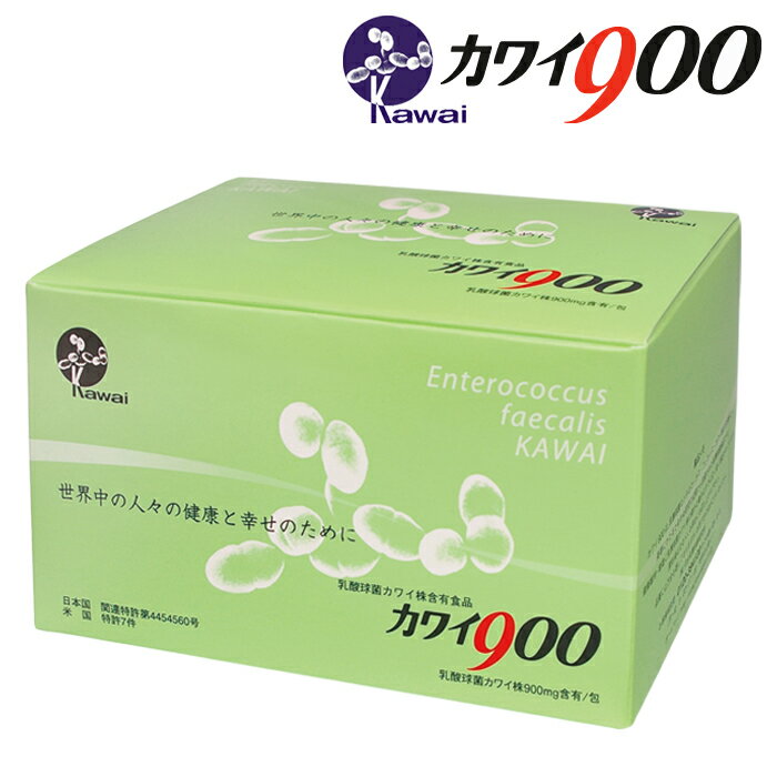 Kawai カワイ900 乳酸球菌カワイ株　900mg含有/包　100包入り