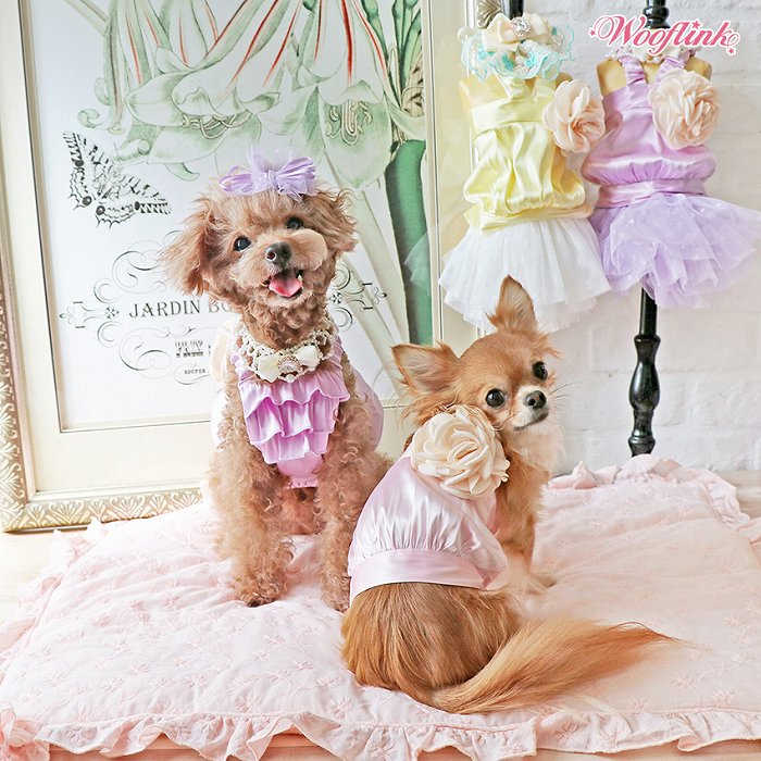 【メール便対応】【WOOFLINK】（ウーフリンク)BRUNCH DATE（犬服 小型犬 セレブ ウェア　サテン　コサージュ　パステル　キャミソール　ドレストップ）【犬服 ブランド】