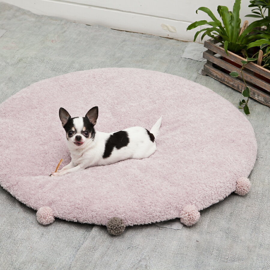 Louis Dog (ルイスドッグ)(ルイドッグ)ShaggyShaggyRug(ワンサイズ)ベッド 小型犬 マット ハウス ラグ インテリア Louis Dog (ルイスドッグ)(ルイドッグ)ShaggyShaggyRug(ワンサイズ)ベッド 小型犬 マット ハウス ラグ インテリア