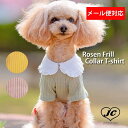 3営業日以内発送！【メール便対象】ロジェフリルカラーTシャツ Rosen Frill Collar T-shirt 【小型犬/ブラウス襟/ニット/フィット/レース/トップス/ドッグウェア/犬服/袖付き/ttry】【犬服 ブランド】