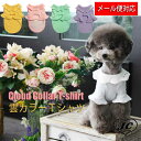 3営業日以内発送！【メール便対象】雲カラーTシャツ Cloud Collar T-shirt 【小型犬/ブラウス襟/パステル/フィット/花詩集/トップス/ドッグウェア/犬服/袖付き/ttry】【犬服 ブランド】