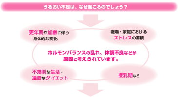 【送料無料】 ジェクス リューブゼリー スターターセットA 潤滑ゼリーとコンドームセット 日本製 【HLS_DU】