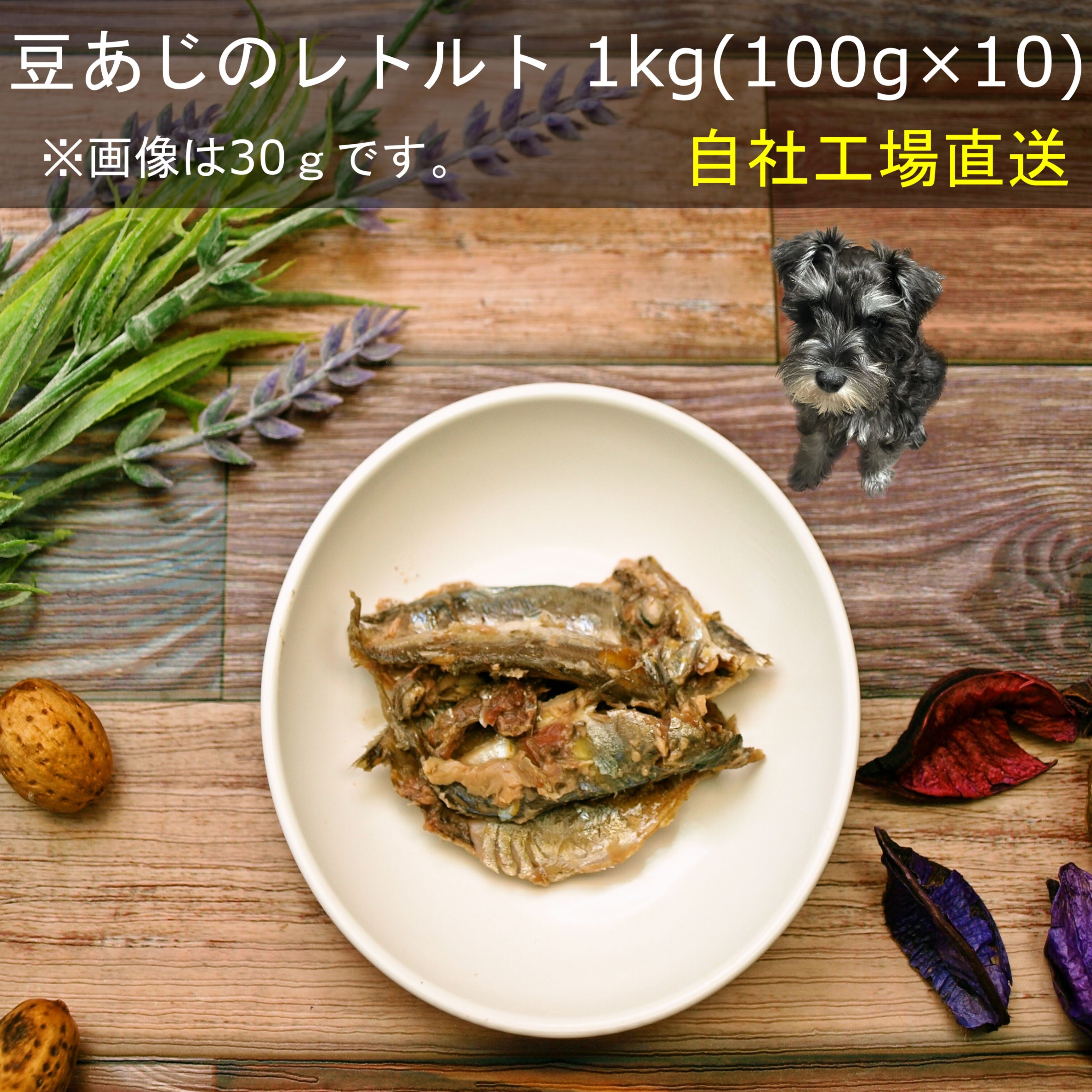 【20％OFFセール】■数量限定 豆あじのレトルト1kg(100g×10P)■ 犬 無添加 おやつ  ...