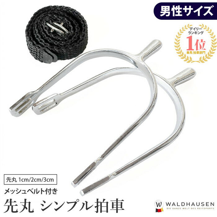 拍車セット 先丸 SP2M ピン1cm/2cm/3cm メッシュベルト付き Waldhausen | 乗馬用 拍車 メンズ 男性用 男性 ベルトセット ベルト付き ラウンド 乗馬拍車 乗馬用拍車 乗馬用品 乗馬 馬 馬具