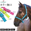 (ハイ) Hy 馬用 COMFORT ワッフル ガース 腹帯 乗馬 ホースライディング 【海外通販】