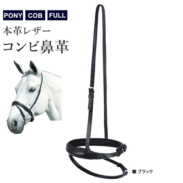 【送料無料】コンビ鼻革 WBNB1（ブラック） レザー PONY/COB/FULL | フラッシュ 鼻革 黒 本革 本皮 頭絡 サイズ ポニー コブ フル ポニーサイズ コブサイズ フルサイズ サラブレッド 馬 乗馬 乗馬用 乗馬用品 馬具 SSSP5S