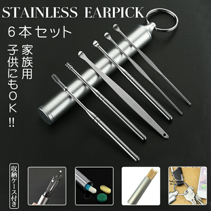 br44# 6本セット耳かき 便リ みみかき 耳掃除 耳かきピンセット精密 専用ケース付き ステンレス製 自宅用 ポイント消化