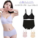 セット 薄手 ナイトブラ 涼感 ショーツ 伸縮性 ボリュームアップ シームレス 締め付け感がなく ノンワイヤーブラ ブラジャー リラックスブラ 夜用ブラ 育乳ブラ 垂れない おしゃれ(4)