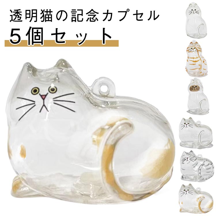 ペット キーホルダー キーホルダー 透明カプセル ケース ネコ 遺毛入れ 猫毛 遺毛入れ 遺毛 透明 【5個セット】猫の毛収納ボトル キーホルダー 猫の毛収納ボトル ペット 猫のキーホルダー 毛を保管するボトル かわいい ペットひげ・抜け毛収納 携帯 ねこ 猫