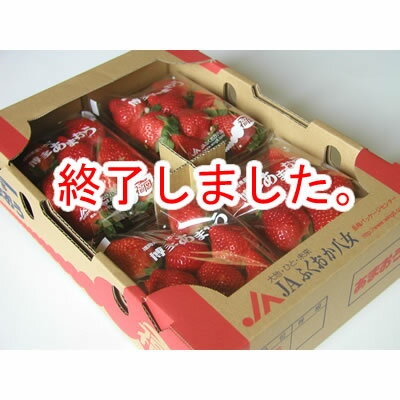 あまおう大満足　300g×4パック【2/13～2/18出荷分】M、L、2Lの詰合せ