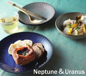 ウラヌスうすかる12cm丸皿プレートグレー丸丸型皿取り皿サラダおうちカフェ美濃焼国産日本製陶器軽量軽いおしゃれカフェ食器食洗機対応ラッピング不可