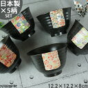 美濃焼 茶漬け碗 花友禅 5柄セット ZEN 禅 飯碗 丼 どんぶり ギフト プレゼント 和食器 日本製 おしゃれ 食器 うつわ 新築祝い 来客用 SET 専用...