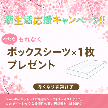 【ポイント10倍】正規販売店【FranceBed×熟睡工房コラボ】【送料無料】フランスベッド Enemul 高密度連続スプリングマットレス ゼルトスプリングマットレス ZT-020 【ダブル】D 2年保証 日本製 国産 ZELT 新型 耐久性 防ダニ 抗菌 防臭 通気性 アイレット