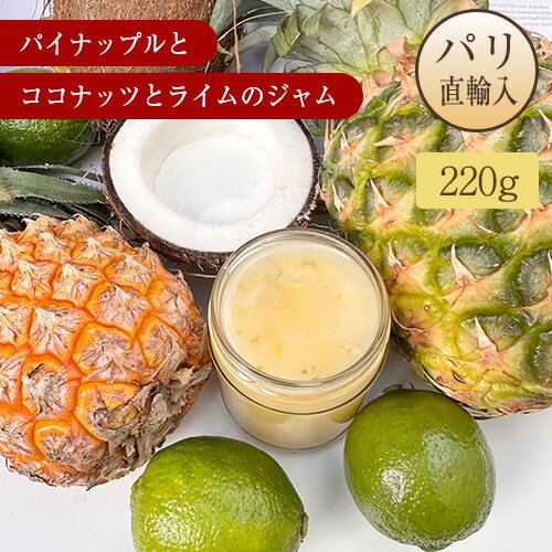 ˥Υ NINON ѥʥåץȥʥåĤȥ饤Υե塼 220g