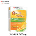 プロポリス 500mg アンプル 10ml×20本