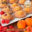 初夏のマドレーヌセット Paris NINON パリ・ニノン フランス産ジャム入り 9個入り パ
