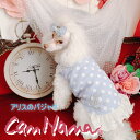犬 服 犬服 女の子 パジャマ CanNana秋冬【きゃんナナ】アリスのパジャマ SS-Lサイズ alice 不思議の国のアリス ハロウィーン ブラック ブルー 水玉柄 ドット柄