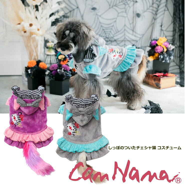 ハロウィン コスプレ きゃんナナ 犬 猫 コスプレ しっぽのついたチェシャ猫 SS-Lサイズ キャンナナ CANNANA きゃんナナ コスチューム Halloween ハロウィーン アリス 不思議の国のアリス パーティ イベント パーカー