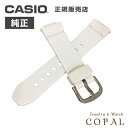 カシオ 純正 バンド BGA-100 BGA-101 BGA-1020 BG-5600 CKBGA-1000 BGA-1030 BGA-142 BGA-102 ...