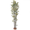 記事一覧 ブログ 楽天ブログ